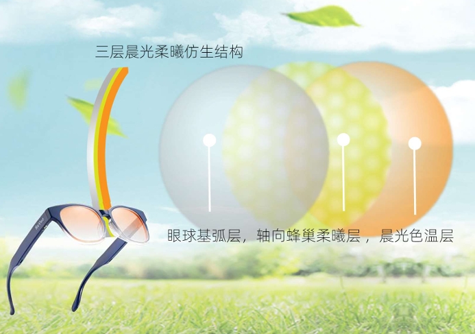 Lens three-layer biomimetic structure